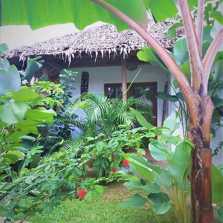 Valerie Lodge San Vicente (Palawan) Exterior foto